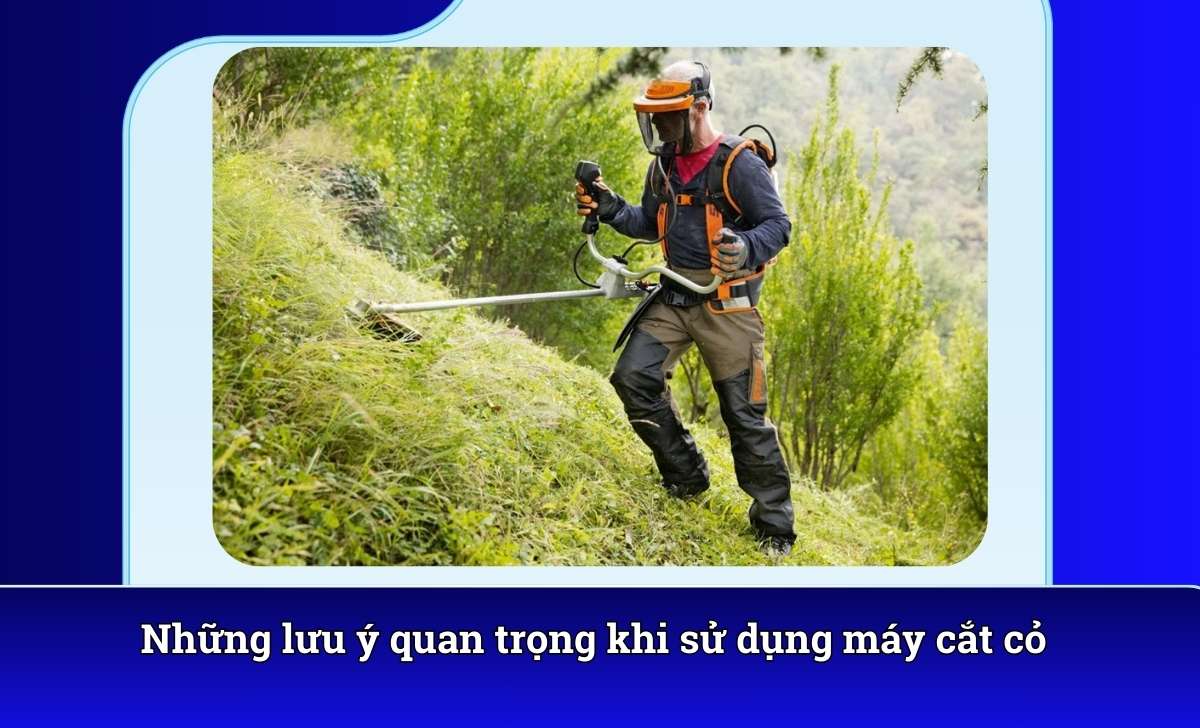 Những lưu ý quan trọng khi sử dụng máy cắt cỏ