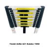 Thang nhôm rút Sumika T320