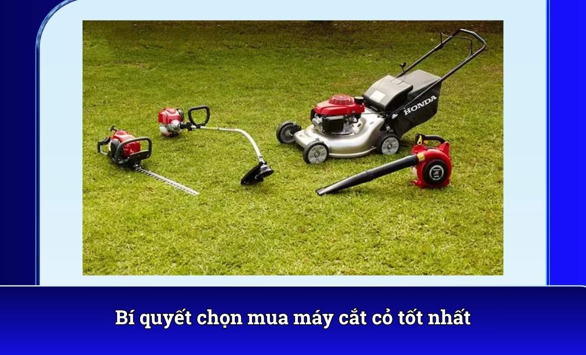 Bí quyết chọn mua máy cắt cỏ tốt nhất