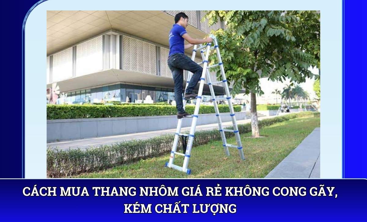Cách mua thang nhôm giá rẻ không cong gãy, kém chất lượng