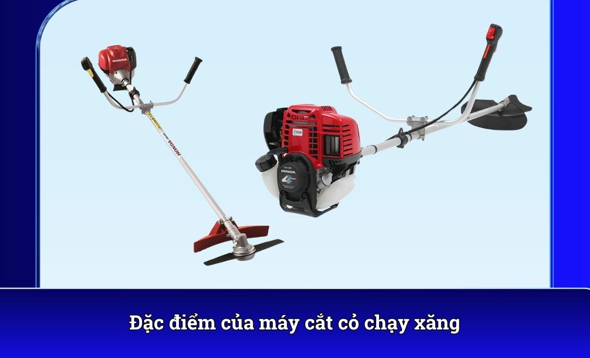 Đặc điểm của máy cắt cỏ chạy xăng