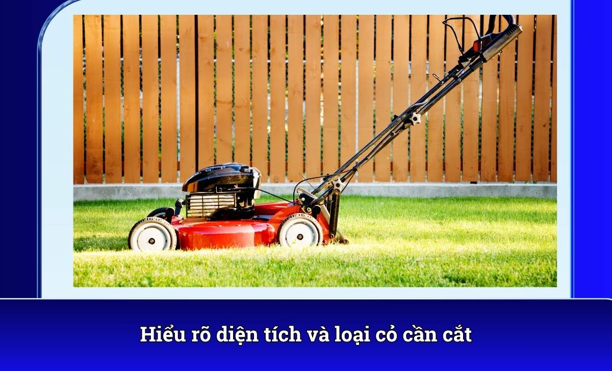 Hiểu rõ diện tích và loại cỏ cần cắt