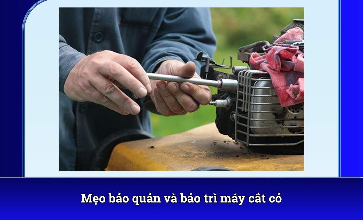Mẹo bảo quản và bảo trì máy cắt cỏ