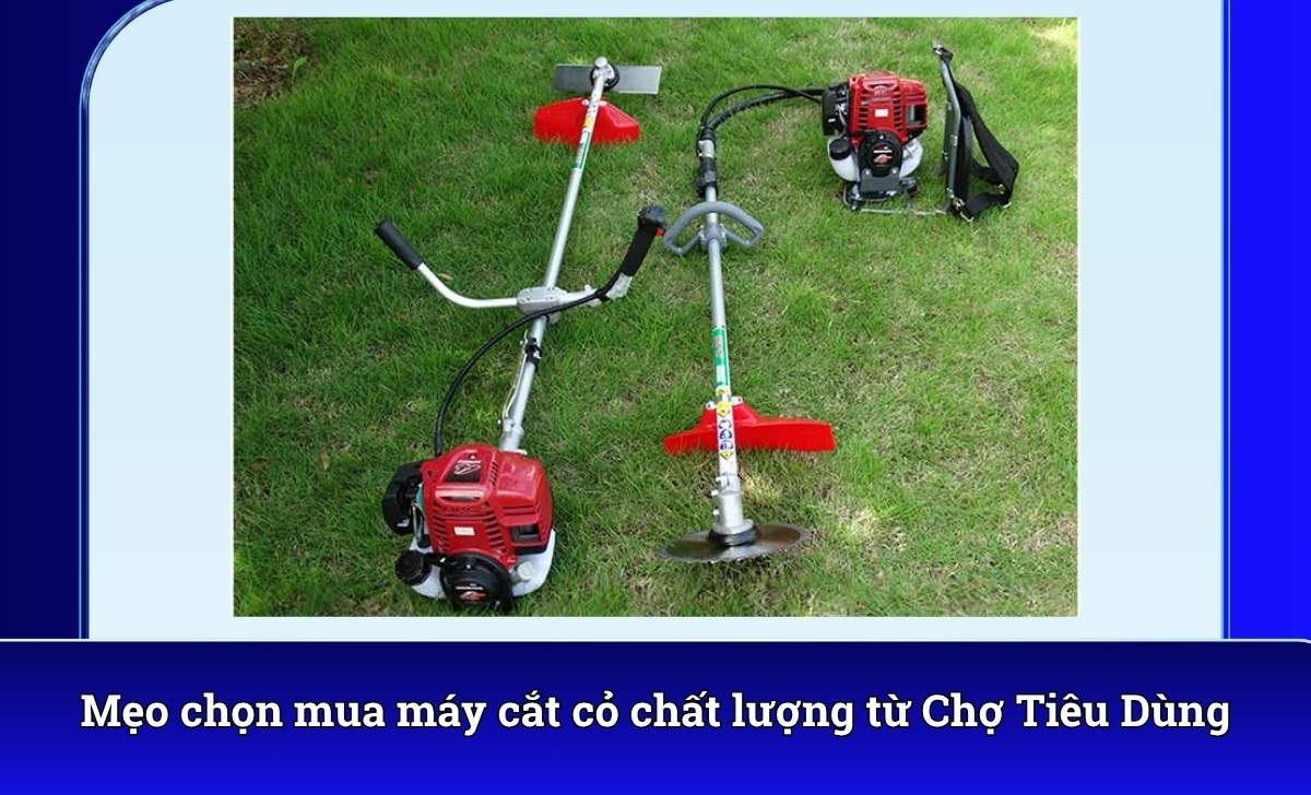 Mẹo chọn mua máy cắt cỏ chất lượng từ Chợ Tiêu Dùng