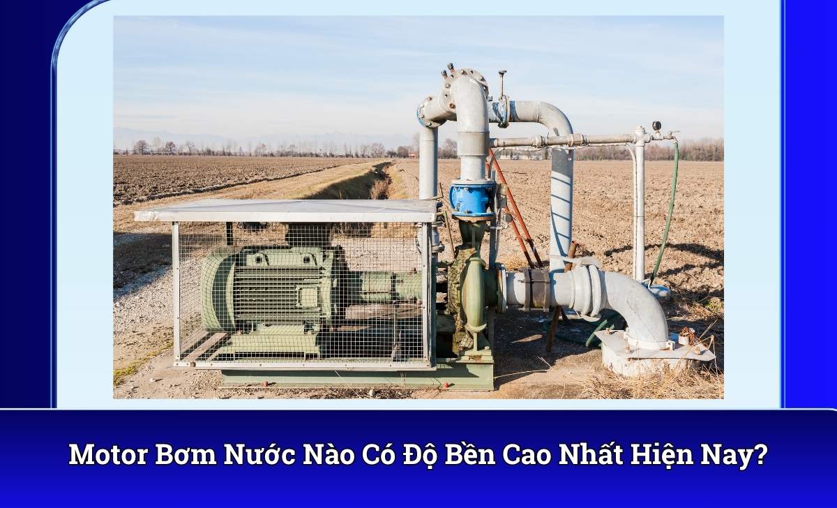Motor Bơm Nước Nào Có Độ Bền Cao Nhất Hiện Nay?