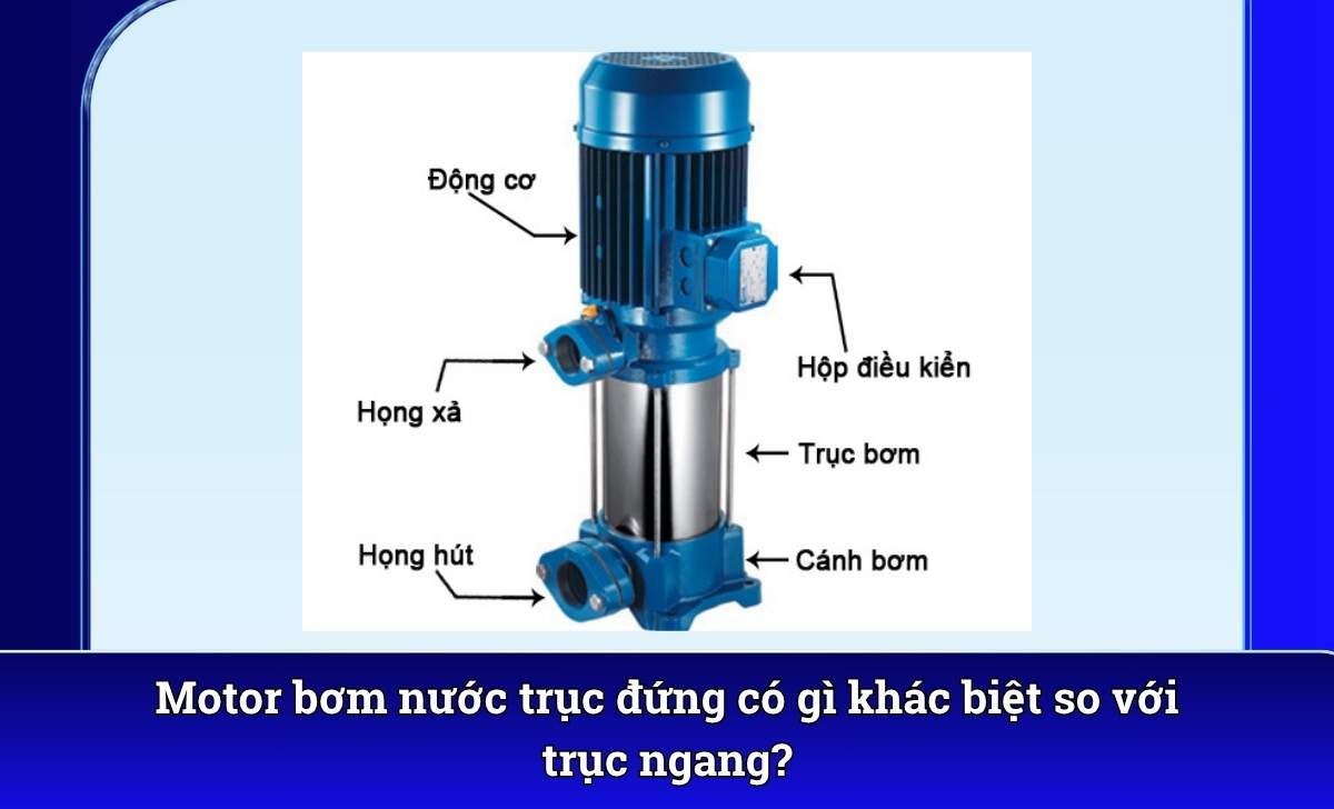 Motor bơm nước trục đứng có gì khác biệt so với trục ngang?