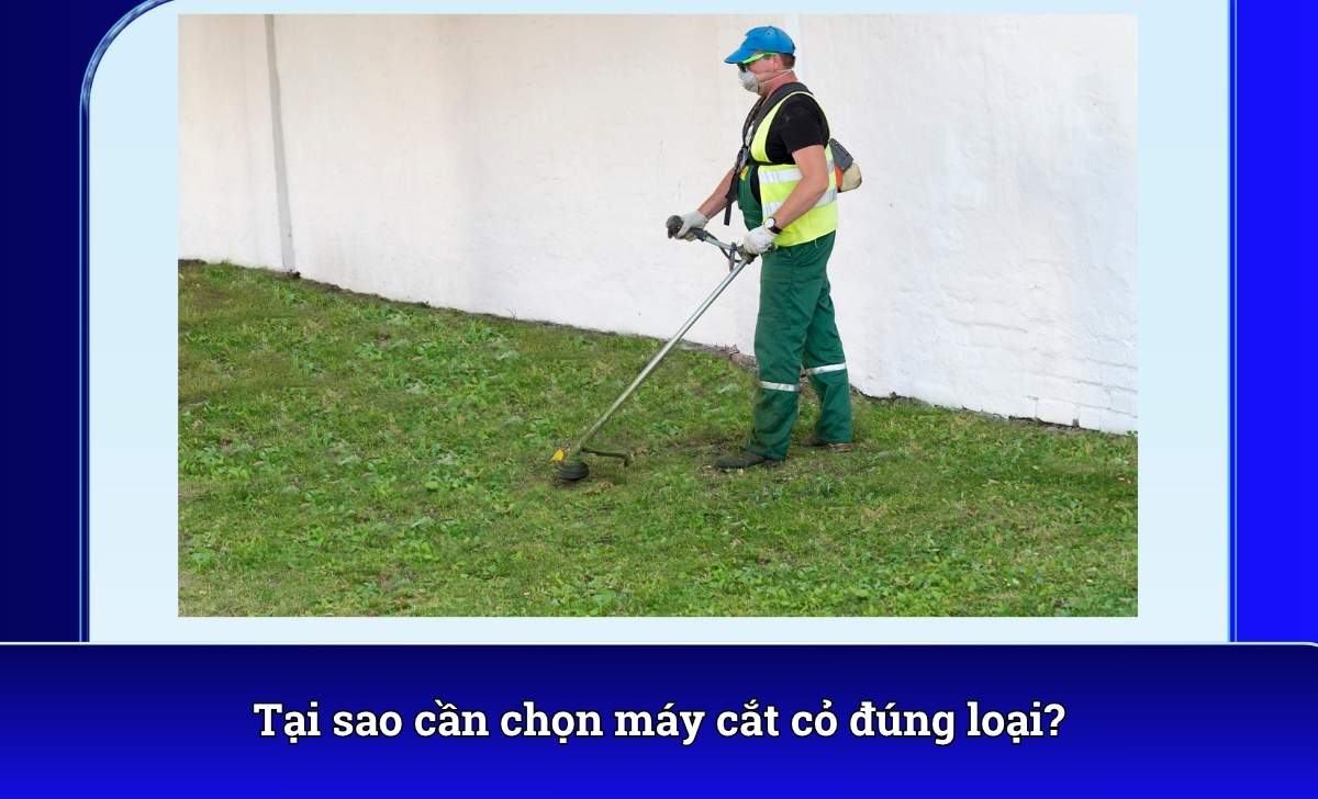 Tại sao cần chọn máy cắt cỏ đúng loại?