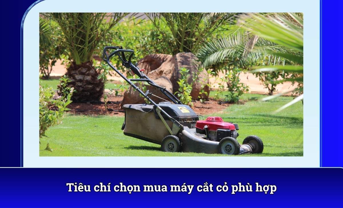 Tiêu chí chọn mua máy cắt cỏ phù hợp