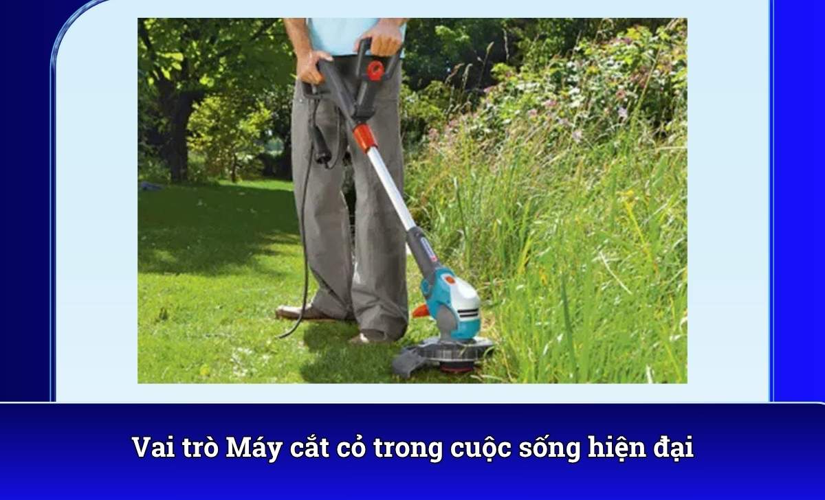 Vai trò Máy cắt cỏ trong cuộc sống hiện đại