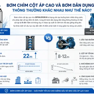 Máy bơm DPVN.D1010.N: 1HP, áp cao, 220V