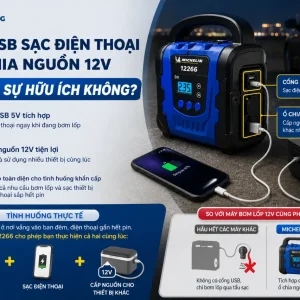 Máy bơm Michelin 12266: 12V, tự ngắt, màn LCD
