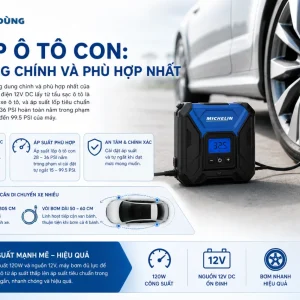 Máy bơm Michelin 12266: 12V, tự ngắt, màn LCD