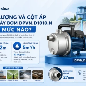 Máy bơm DPVN.D1010.N: 1HP, áp cao, 220V
