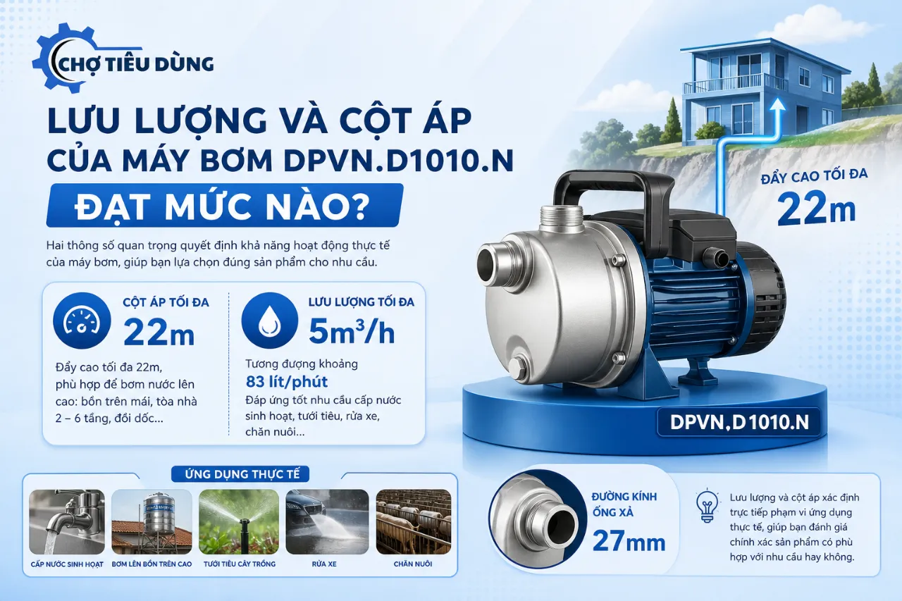 Lưu lượng và cột áp của máy bơm DPVN.D1010.N đạt mức nào?