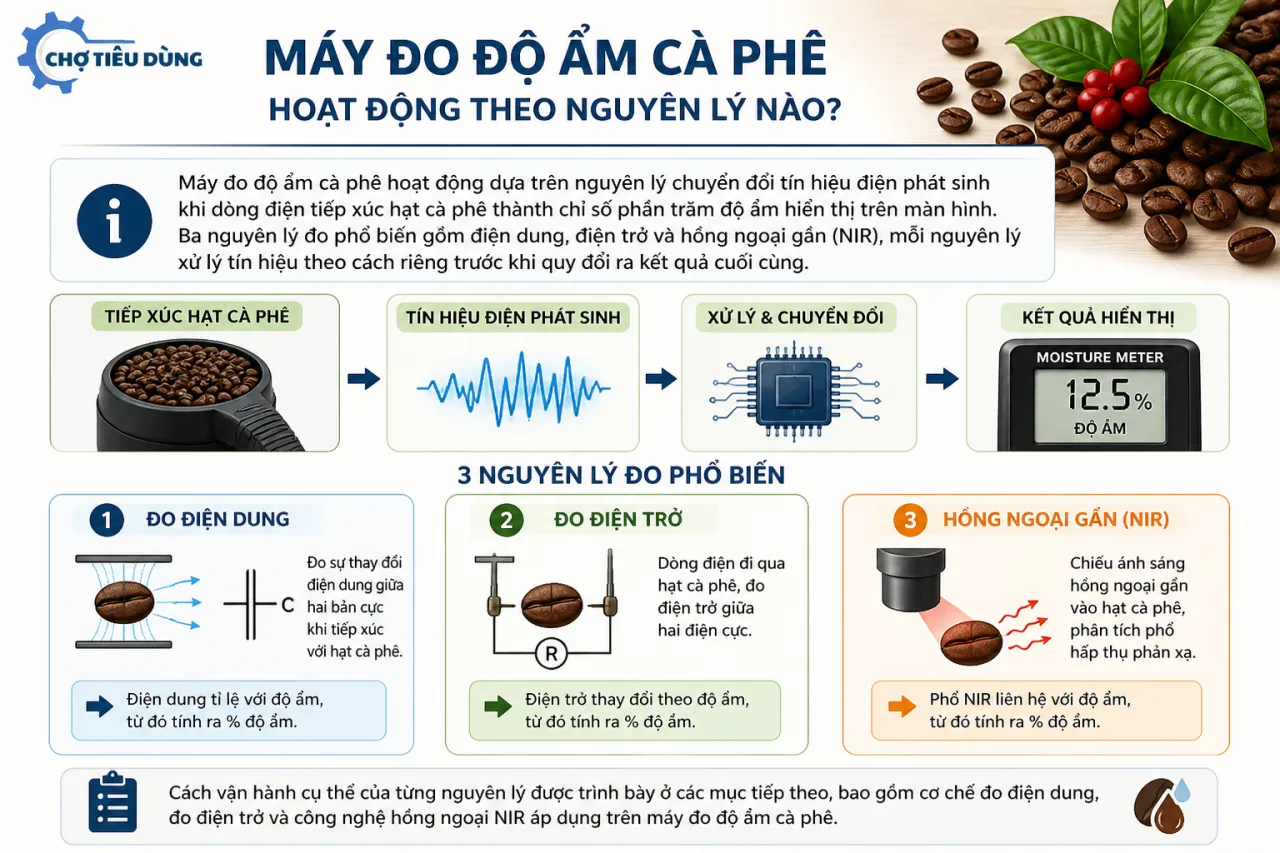 Máy đo độ ẩm cà phê hoạt động theo nguyên lý nào